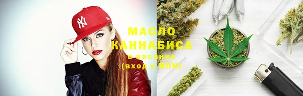 тгк Алзамай