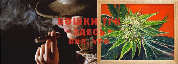 тгк Алзамай