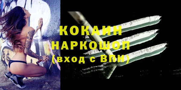 гидра Бикин