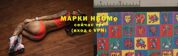 тгк Алзамай