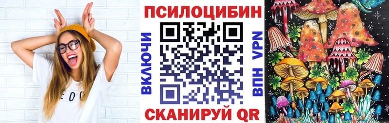 Галлюциногенные грибы Psilocybine cubensis  Воткинск 