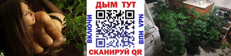 МАРИХУАНА SATIVA & INDICA  магазин продажи наркотиков  Воткинск 